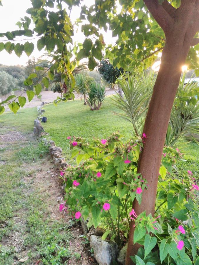 Quinta Da Perdiz Country House Villa Santarem Exterior photo